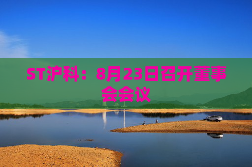 ST沪科：8月23日召开董事会会议