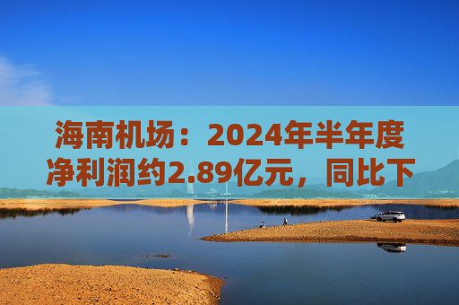 海南机场：2024年半年度净利润约2.89亿元，同比下降50.35%