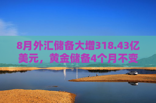 8月外汇储备大增318.43亿美元，黄金储备4个月不变